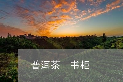 普洱茶 书柜/2023042867213